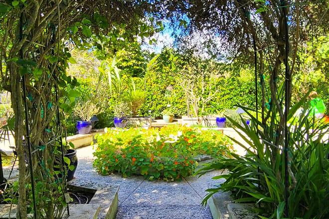 Mounts Botanical Garden